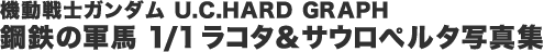 @mK_ U.C.HARD GRAPH |ŠRn 1/1R^TE؃^ʐ^W